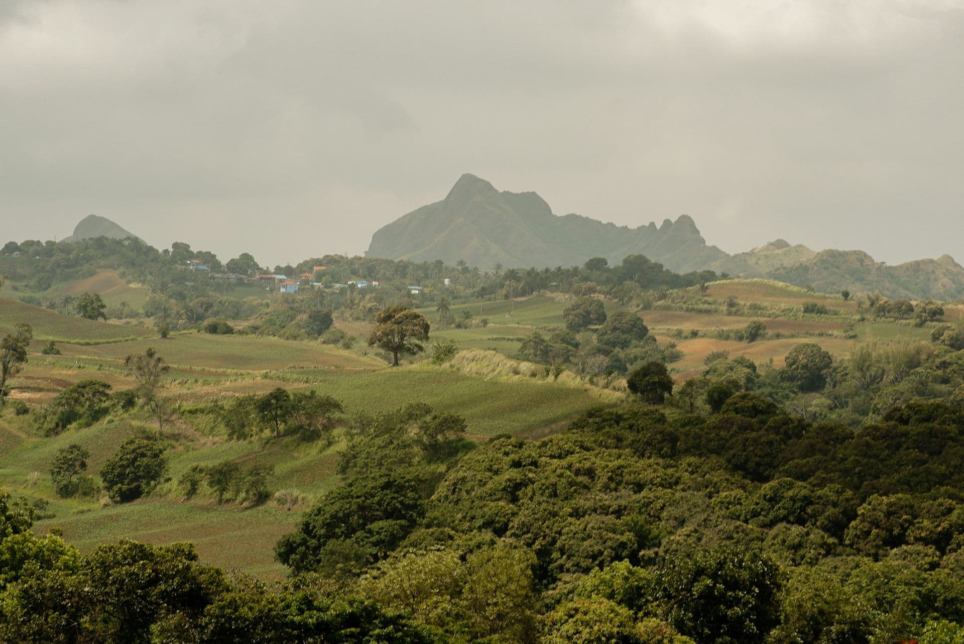 Mt. Batulao Open Trek