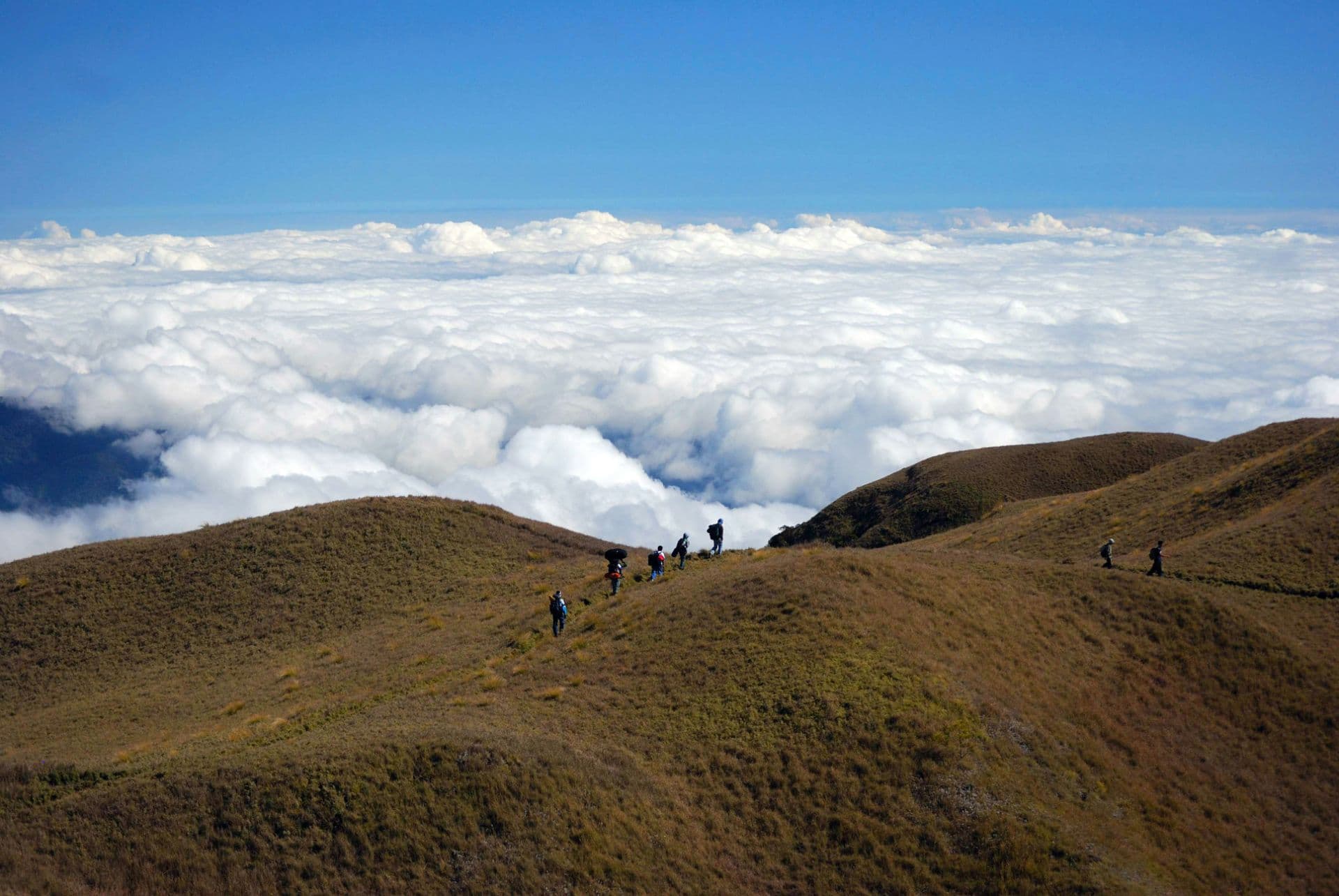 Mt. Pulag Sea of Clouds Overnight